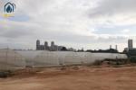 Agricultural Tunnel Greenhouse Single Span PE Film Greenhouse For Flowers Plant
