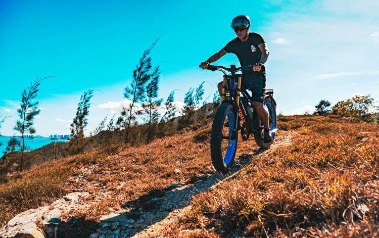 US EU STOCK Long Range Electric Bicycle 1000w 750w 50kmh Long Distance Ebikes CYSUM M900