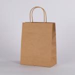 Square Bottom Clothes Paper Bag With 3- 6kg Load