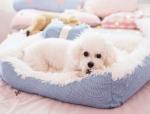 Cute Design Fleece Bows Pet Pads Cushion Warm Dog Beds