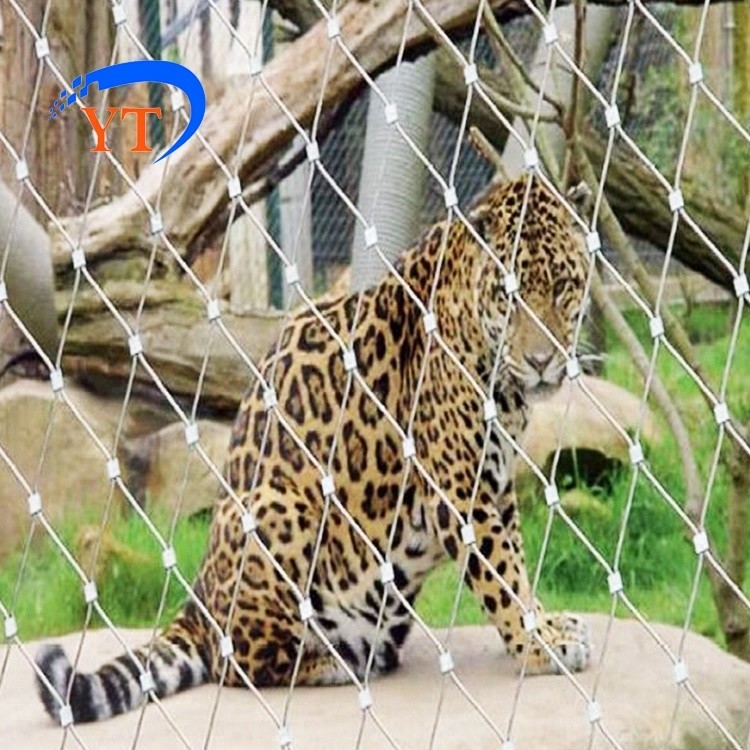SS 604 316L Zoo 1x1 Stainless Steel Wire Mesh Netting