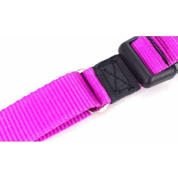 Eco - Friendly Pet Collar For Dog Walking , Fashion Sport Dog Collar