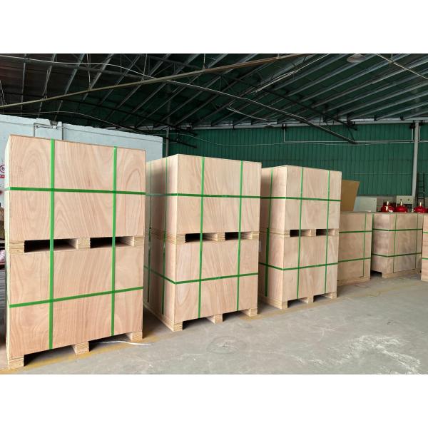 Kitchen Fire Suppression System for Edible Oil Fires 12L