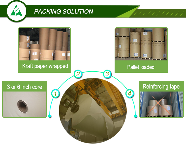 300gsm Coated Gloss Writing and Printing Paper 100% Virgin Pulp Raw Material Used