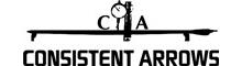 China Consistent Arrows logo