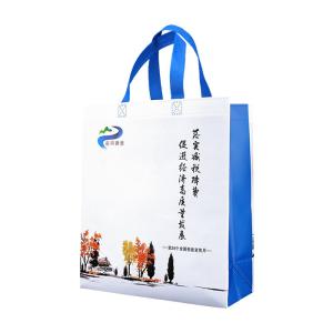 China Shopping PP Biodegradable Non Woven Bag Shrink Resistant wholesale