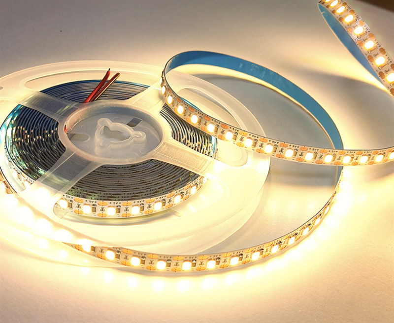 60 Leds SMD 5050 LED Strips 12V 24V RA80 IP20 10mm Flexible Light Strips