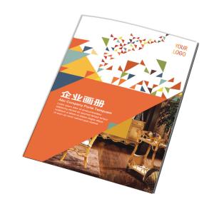 China Flyers Instruction Booklet Printing 128G 300G Screen Printing Brochure wholesale