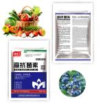 Organic Soil Conditioner Blended Fertilizer Humic Amino Acid Shiny Ball