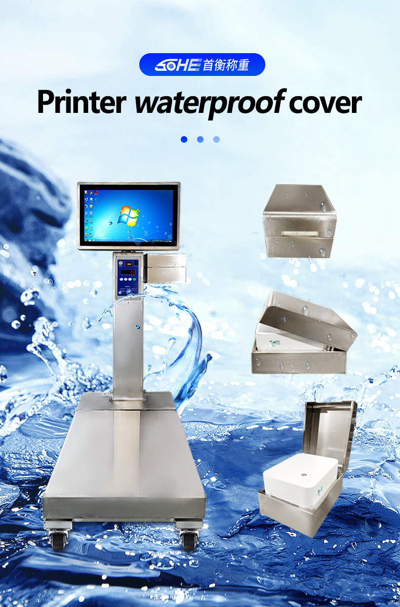 400*500mm Industrial Scale with 200kg Weight Capacity and Stainless Steel Platform