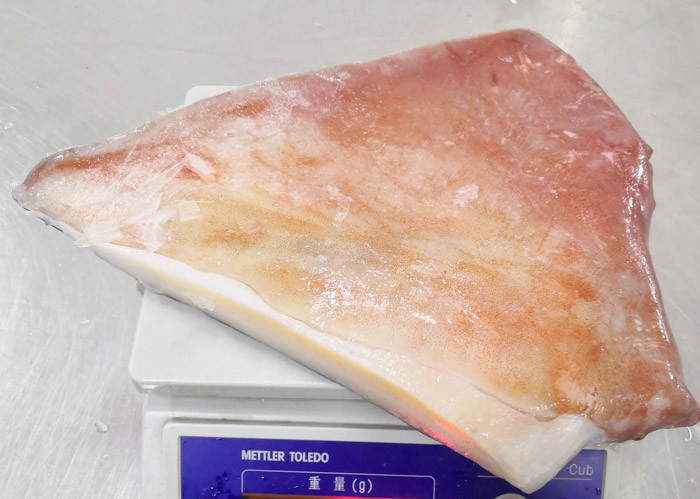 Block Frozen Giant Squid Fin Cartilage Off Bqf Size 300g - 500g Size