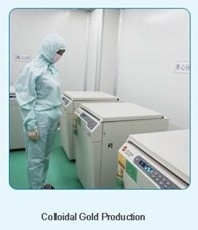 LCD Touch Screen Display Fully Automatic ELISA Analyzer with Automatic Data Analysis