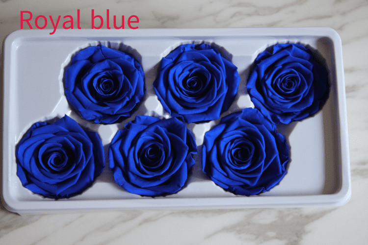 Natural preserved fresh flowers for Valentines day Never Withered Flowers Home Decoration