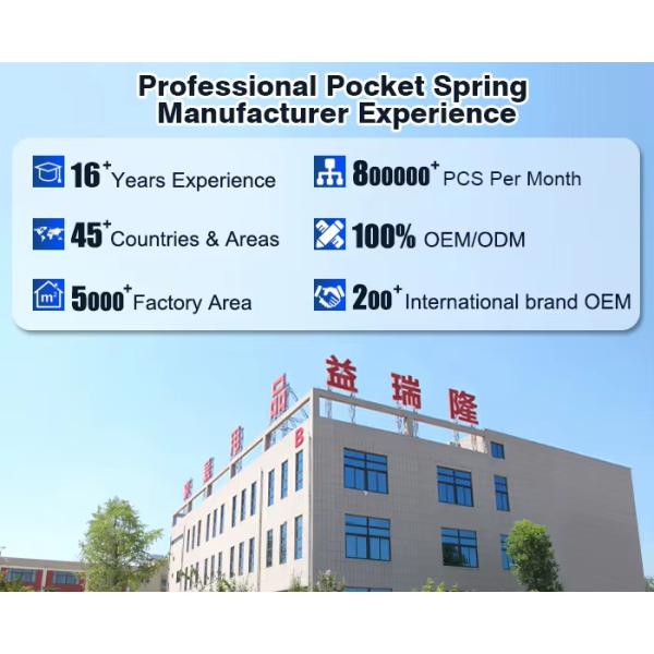 Enhanced Sofa Pocket Spring Unit Customized Pocket Springs For Sofas