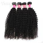Kinky Curly Burmese Virgin Hair Bundles , No Tangle Real Wavy Hair