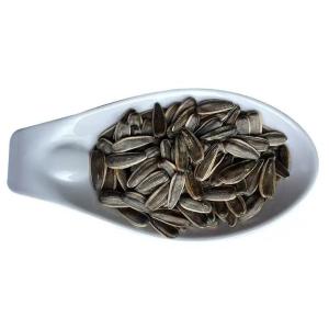 China Factory Bulk wholesale Sunflower Seeds Kernel/Sunflower Seeds Best seller on Amazon wholesale