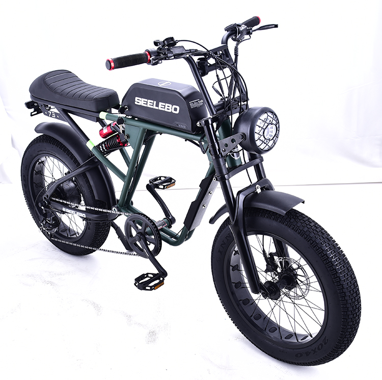 Electric Bicycle GOMID 750W 48V 20 Inch E Bike Mountain Fat Tire Ebike With High Power Motor