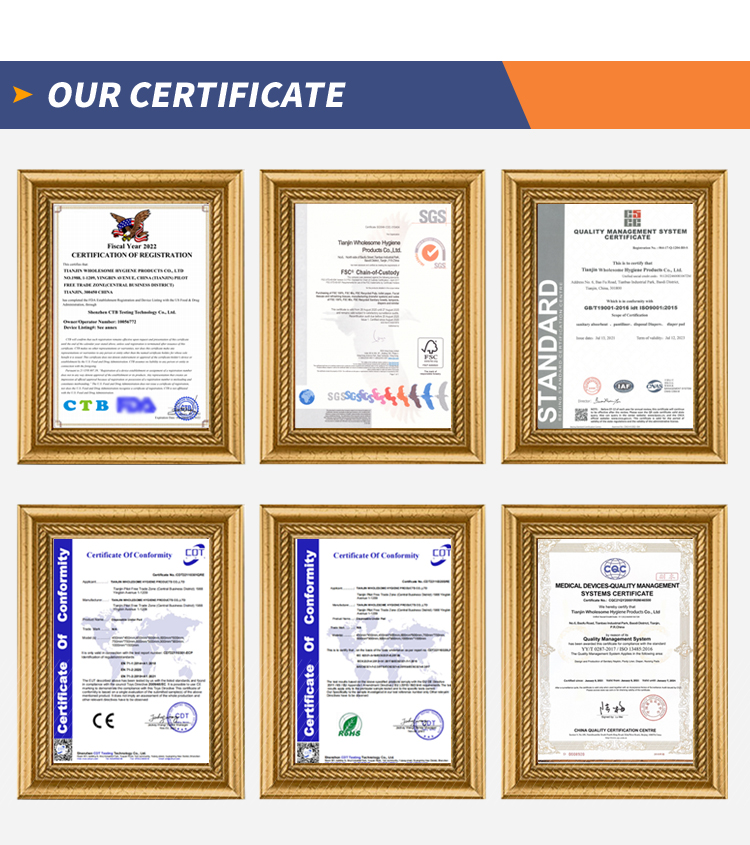 Freely Samples Offered Biodegradable Dog Puppy Extra Large Pet Cat Dog Training Puppy Pads