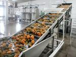 large-scale Fruit Juice Filling Production Line commercial fruits juice