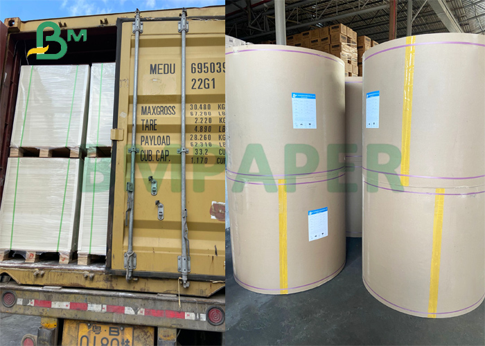 CUPP1S 230gsm + 15g PE Coated Paper For Cold Drinks Cup 880mm 900mm