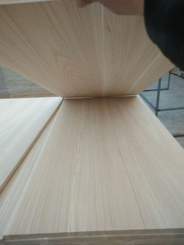Solid Wood Finger Joint Board Sale Paulownia Board for Surfboard Design Style Sale