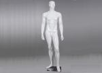 Male Window Display Mannequin / Clothing Store Mannequins With Steel Base