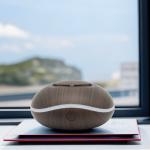 Car Air Purifying Aroma Diffuser USB Battery Mini Small Waterless Essential Oil