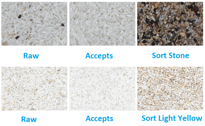 Automatic Ccd Color Sorter Color Sorting Machine Coffee Millet Color Sorter Machine
