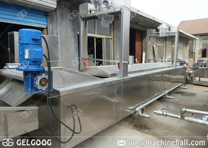 Continuous Peanut Frying Machine