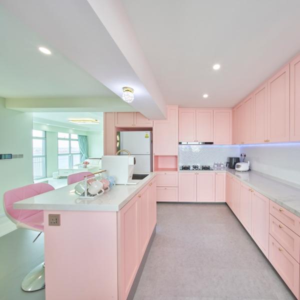 Quality Pink Colour Modular Kitchen Stainless Steel Cabinets Luxury Classic Custom for sale