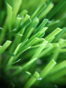China Football Woven 50mm Hybrid Artificial Turf wholesale