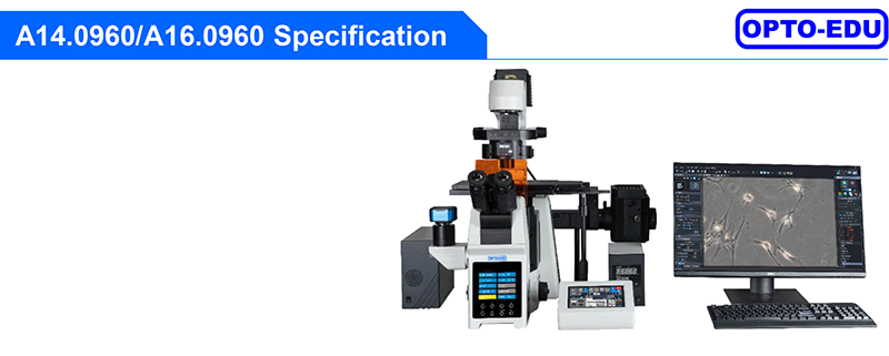Opto Edu A16.0960 Research Level Inverted Fluorescent Microscope Motorized Nosepiece Condenser