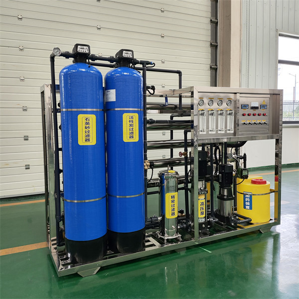 1Ton Automatic Industrial Water Treatment Double-stage Reverse Osmosis System