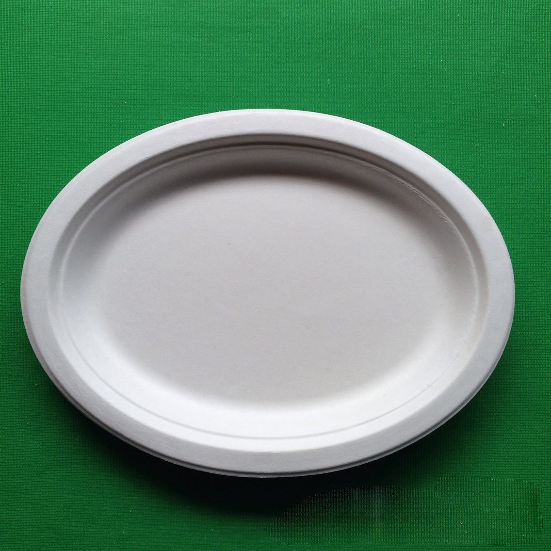 Large size eco-friendly biodegradable disposable fish dish sugarcane barbecue fish plate
