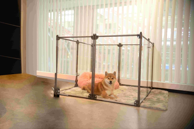 Removable Foldable Clear Puppy Metal Fencing For Pets Playing