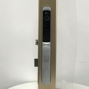 China Security Residential Electronic Lock Fingerprint Smart House Door Locks wholesale