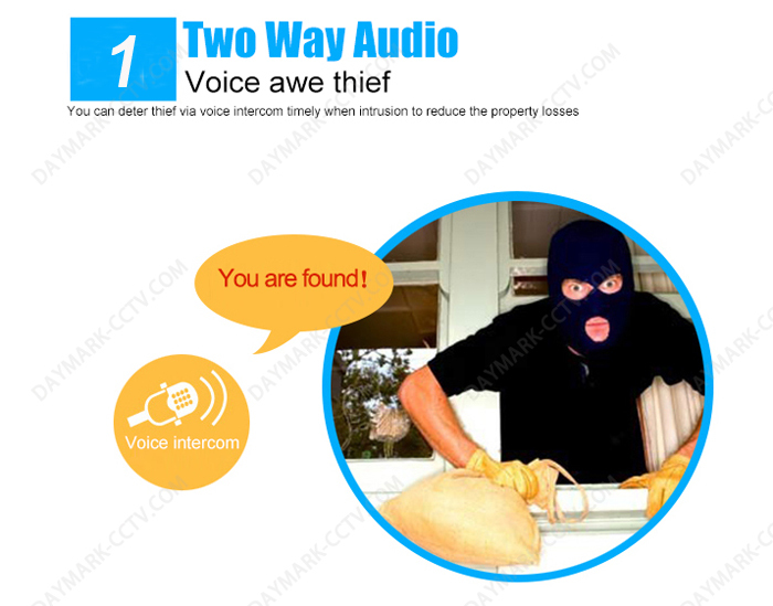 IR night vision two way audio p2p wireless hidden ip camera