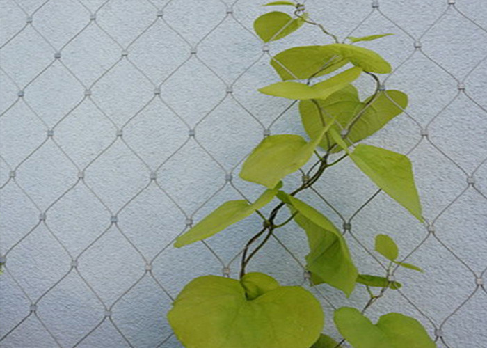 7*19 Grape Wire Rope Trellis Plant Climbing Green Wire Rope Mesh Netting 150x150mm