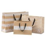 250gsm Brown Paper Shopping Bags , Commercial Paper Bags Clear Crease