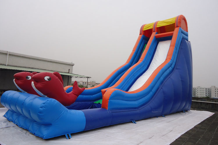 Single Lane Fish Decorated Blow Up Water Slide PVC Swimming Pool for Sale