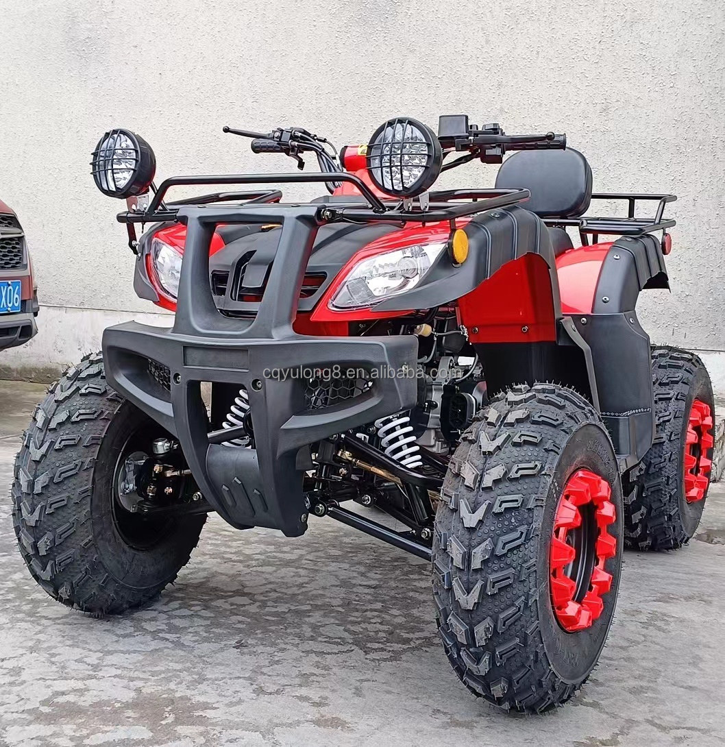 10 Inch Tire Size Customized Logo 200cc 250cc ATV Adult 4 Wheel UTV Off-Road Quad Bike