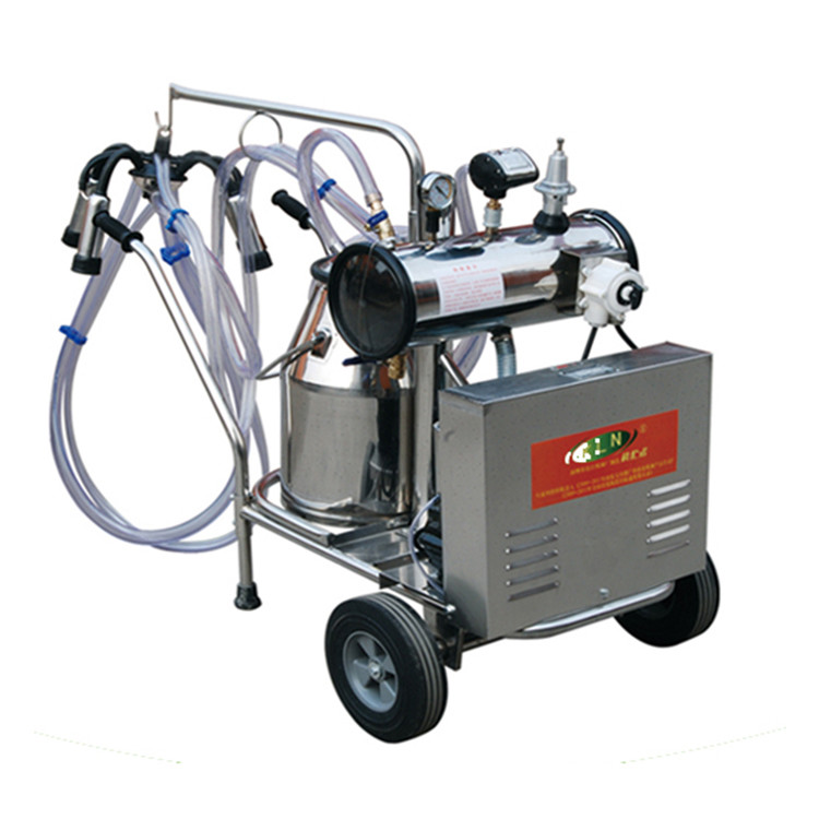 Anti Corrosion Thickness 3mm Cow Head Lock Dairy Feeding Equipment