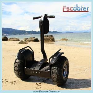 China Self-balancing Electric Scooter WindRover Price Electric Chariot wholesale