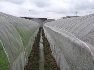 China Smart Industrial Netting Systems Overhead Crop Netting ISO9001 Approved wholesale