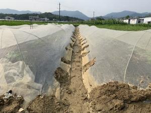 China 200Gsm Mulching Sheet For Agriculture wholesale