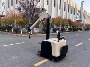 China 300 KG Lifting Capacity Non Standard Electric Mini Crane Arm Truck Lifting Height 3000 MM wholesale