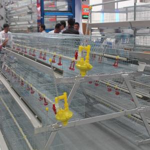 China Hot Dip Galvanized Broiler Chicken Cage 200-300 Chickens / Set wholesale