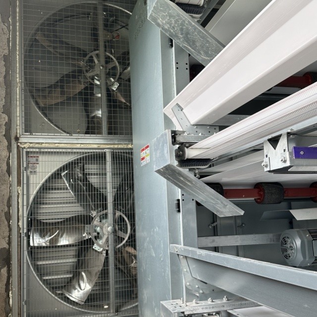 Space-Saving Design High Yield H-Type Fully Automatic Layer Cages for Modern Farms