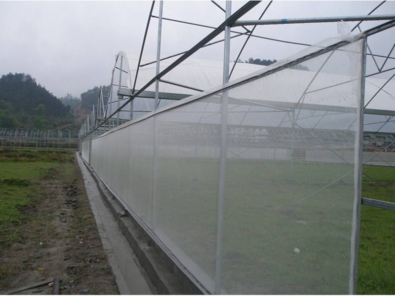 25 * 50 Mesh Aging Resistance Fly Screen Mesh , Pest Control Insect Wire Mesh