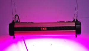 China Cidly 250W LED Grow Lights Full Spectrum customized freely wholesale